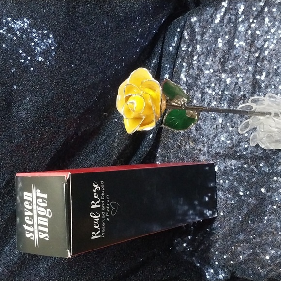 I Hate Steven Singer - Picture 5 of 7